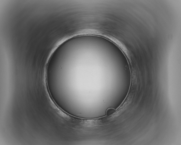 X0000111671390200907171605