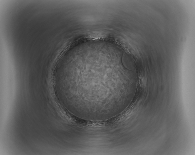 X0000111671393200907171604