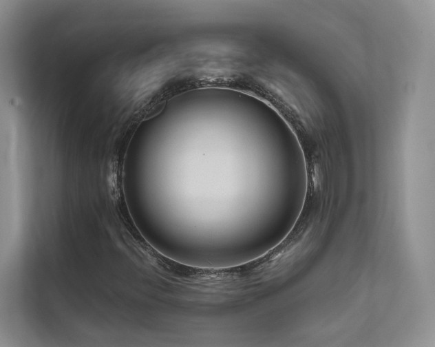 X0000111671396200907171604