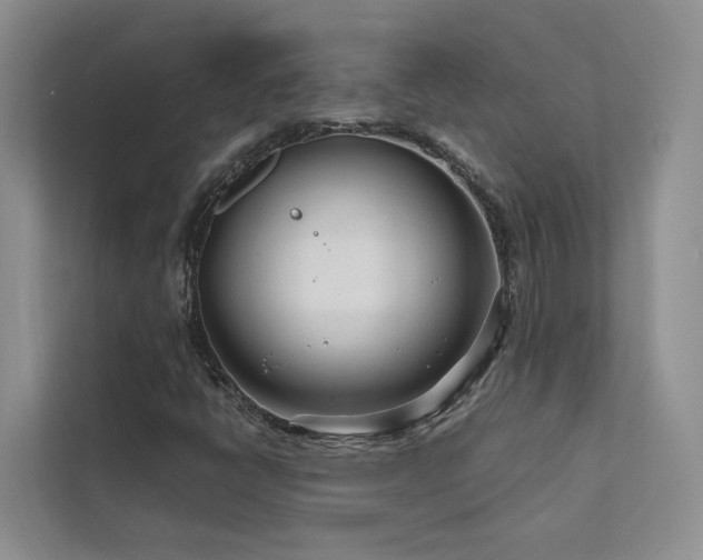 X0000111671398200907171604