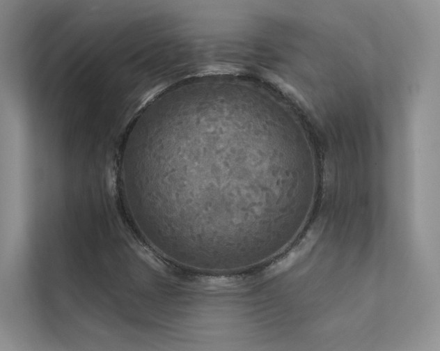 X0000111671401200907171604