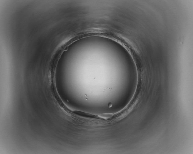 X0000111671402200907171604