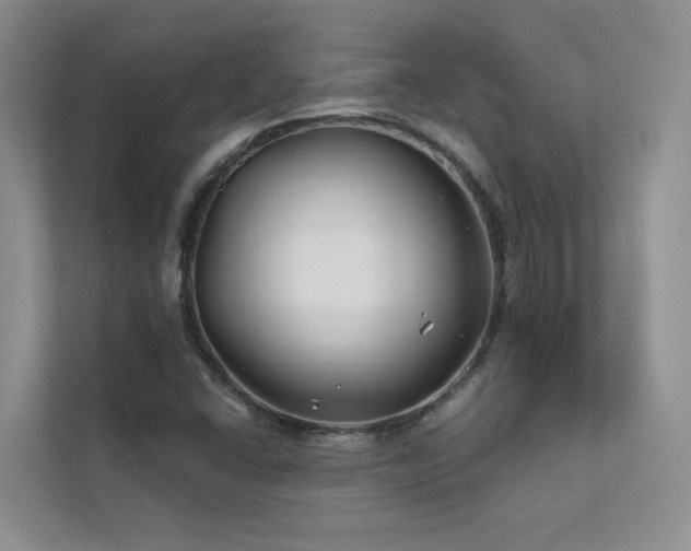 X0000111671406200907171604