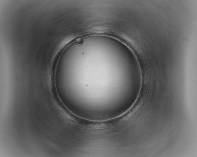 X0000111671410200907171604
