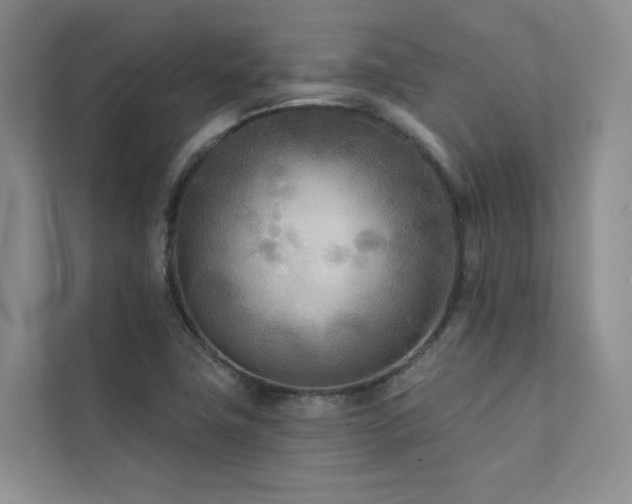 X0000111671411200907171604