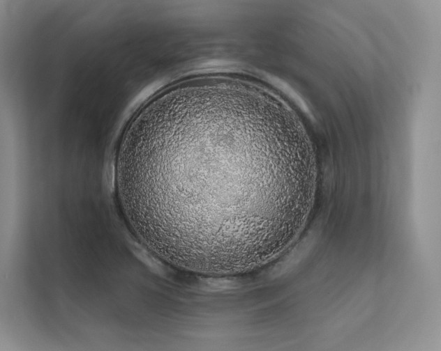 X0000111671413200907171604