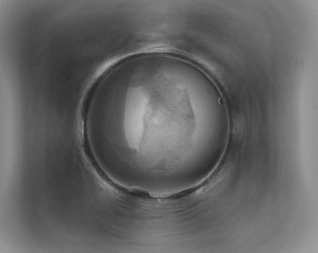 X0000111671414200907171604