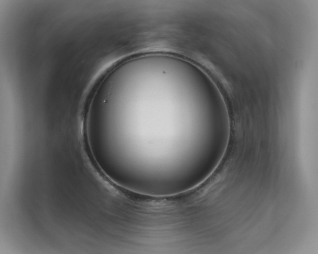 X0000111671416200907171604