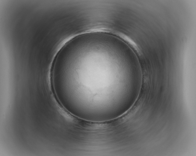 X0000111671423200907171604