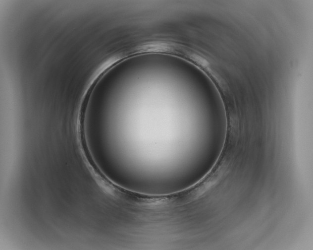 X0000111671426200907171604