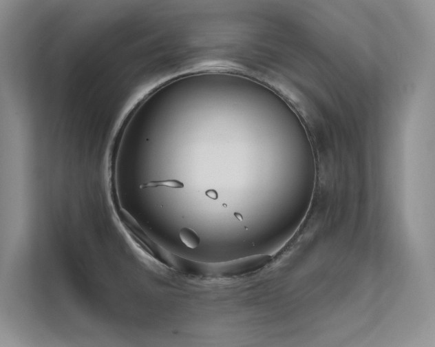X0000111671430200907171604