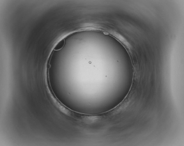 X0000111671431200907171604