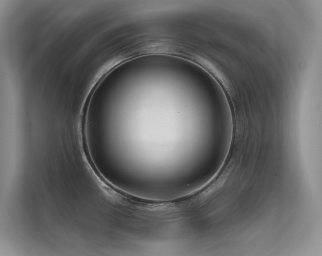 X0000111671434200907171604