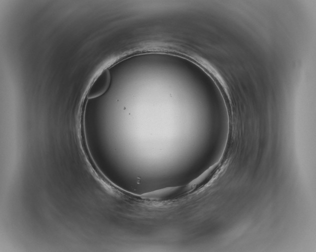 X0000111671437200907171605
