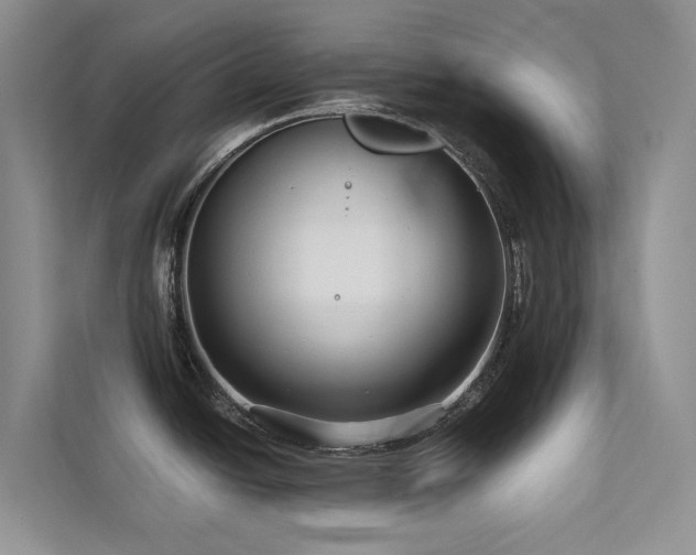 X0000111671438200907171605