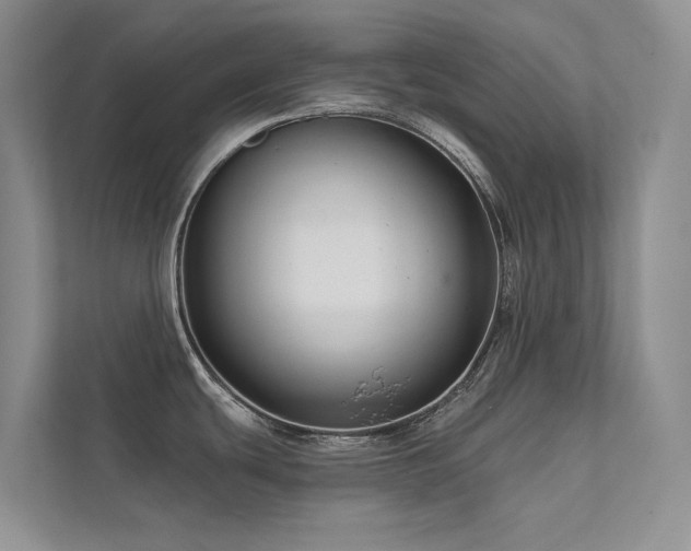 X0000111671439200907171605