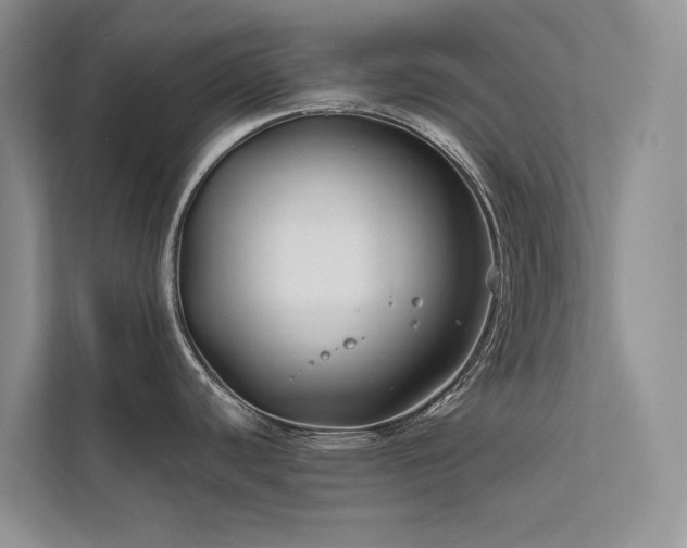 X0000111671440200907171605