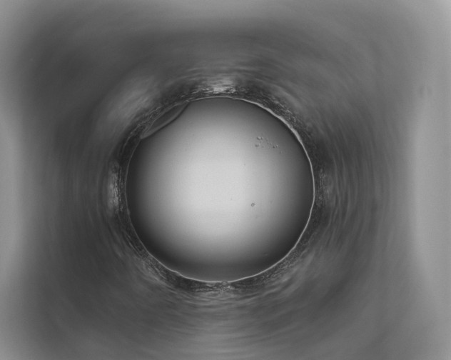 X0000111671442200907171604