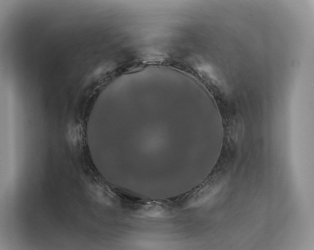 X0000111671445200907171604