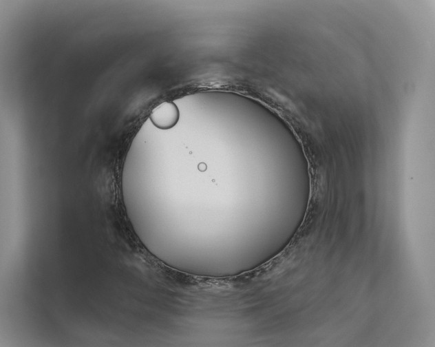 X0000111671446200907171604