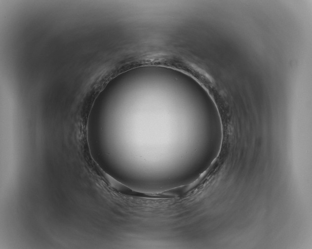 X0000111671447200907171604