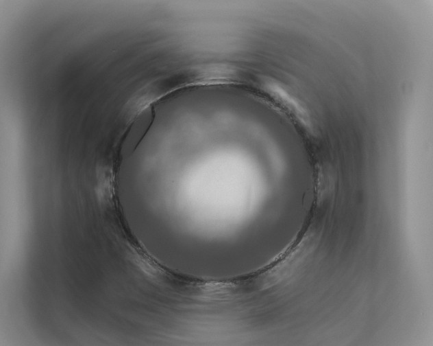 X0000111671449200907171604
