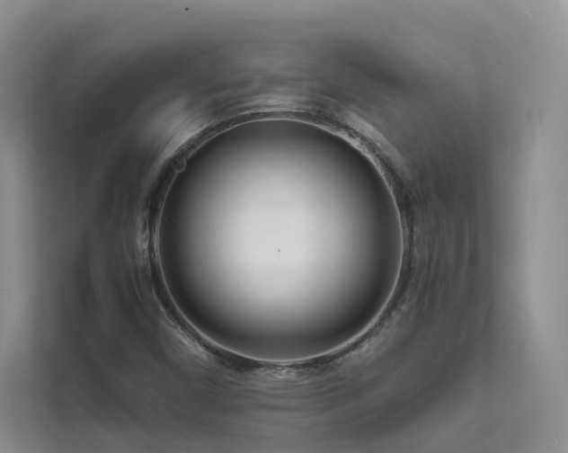 X0000111671450200907171604
