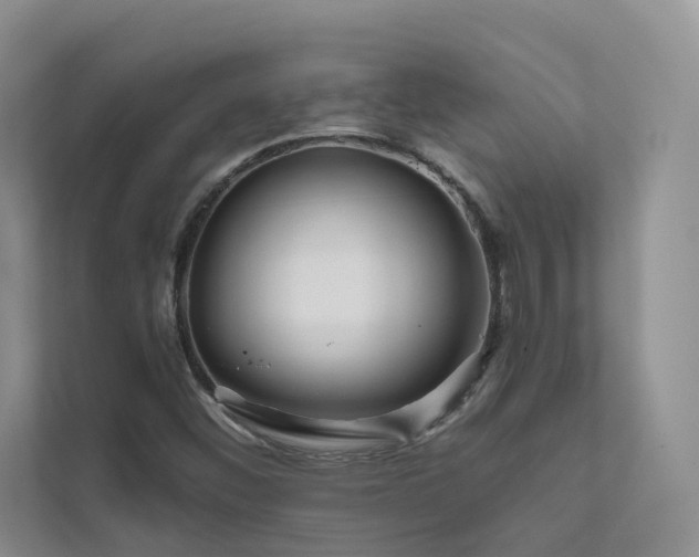 X0000111671452200907171604