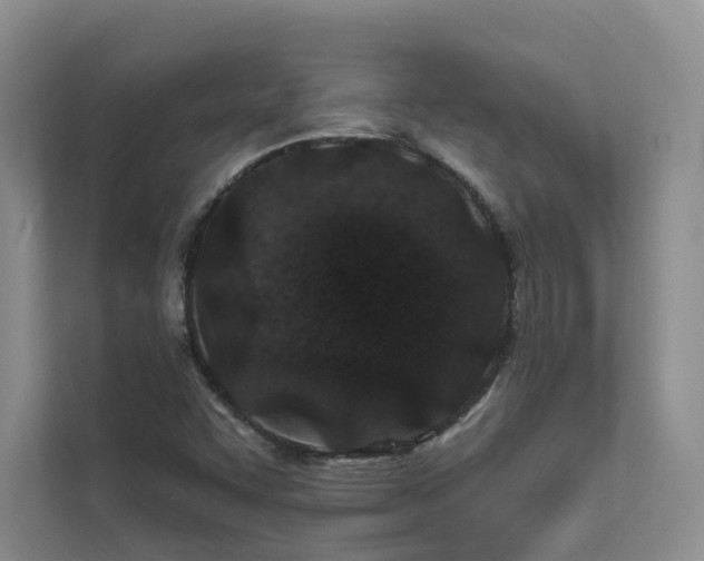X0000111671455200907171604