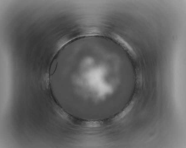 X0000111671457200907171604