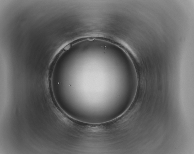 X0000111671460200907171604