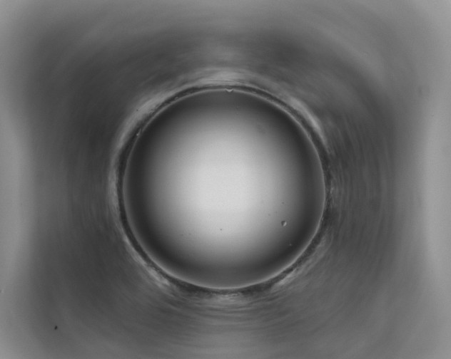 X0000111671464200907171604