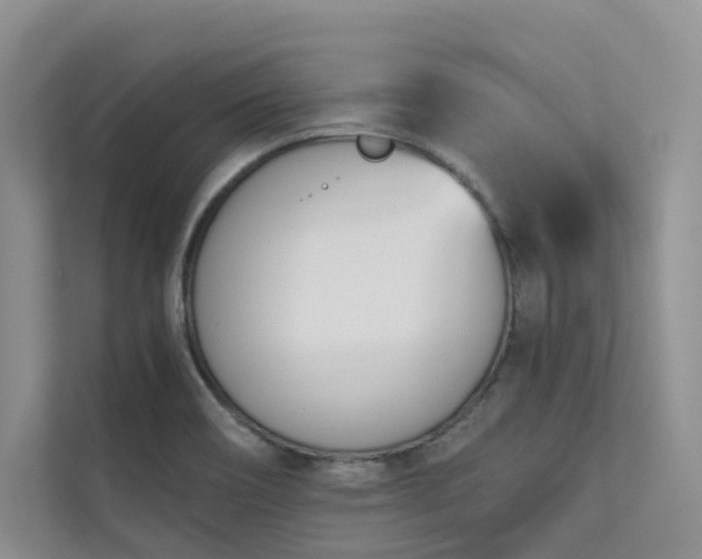 X0000111671466200907171604
