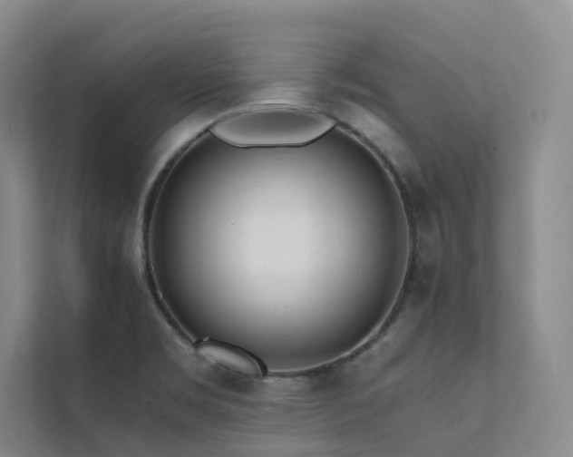 X0000111671469200907171604
