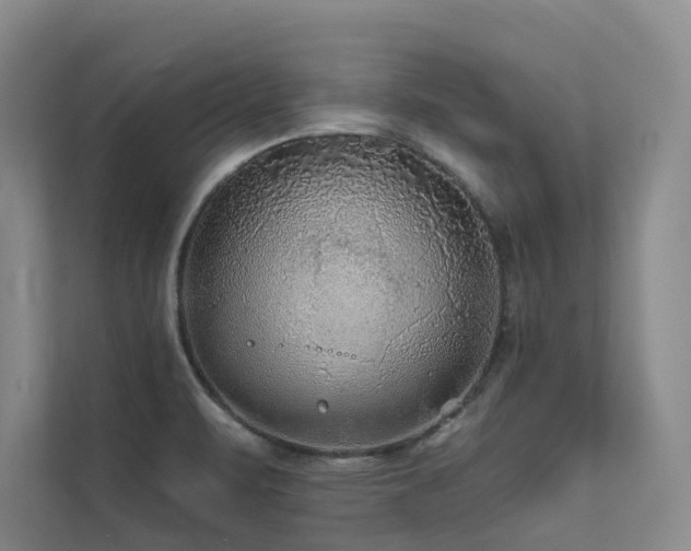 X0000111671471200907171604