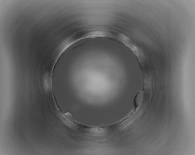 X0000111671473200907171604