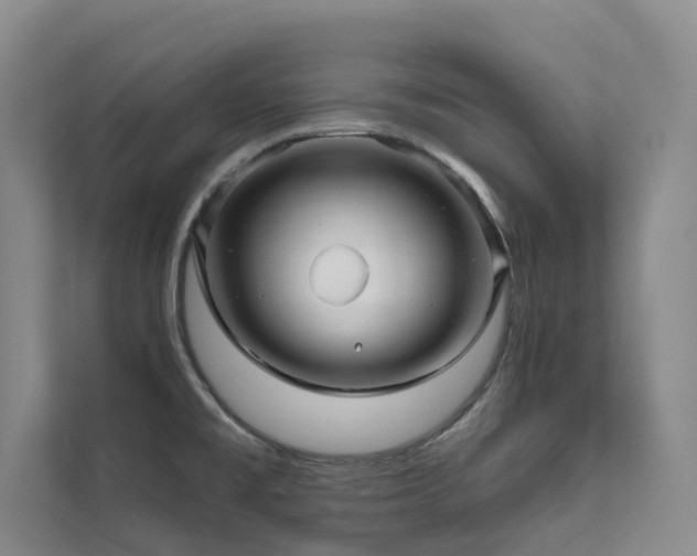 X0000111671477200907171603