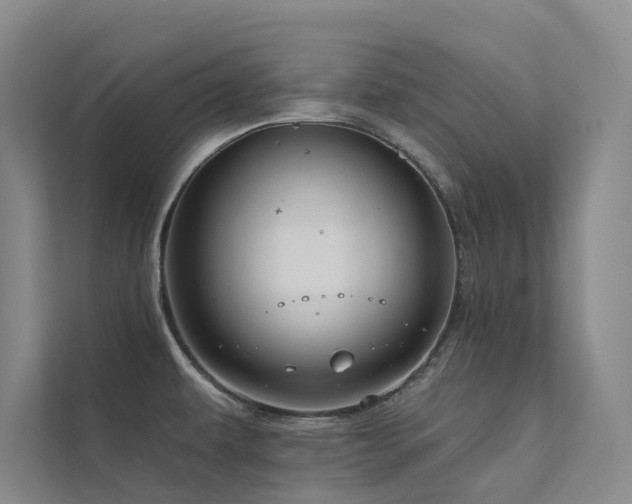 X0000111671479200907171603