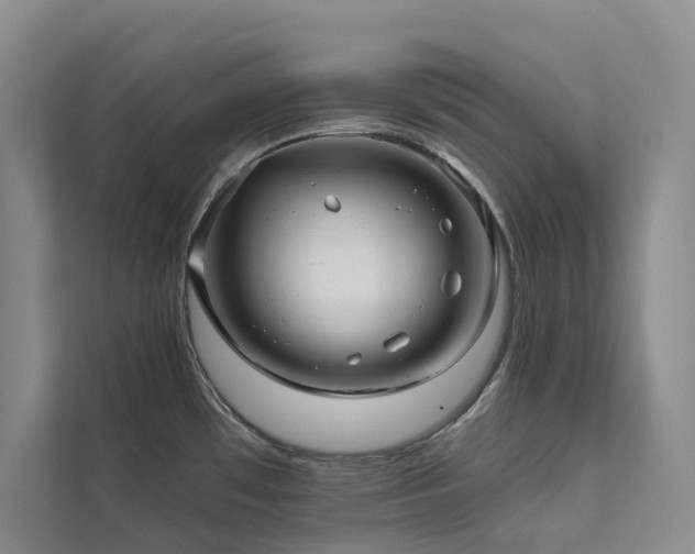 X0000111671481200907171603