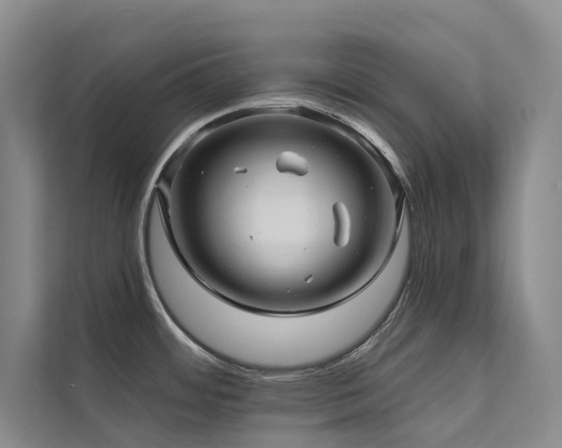X0000111671484200907171603