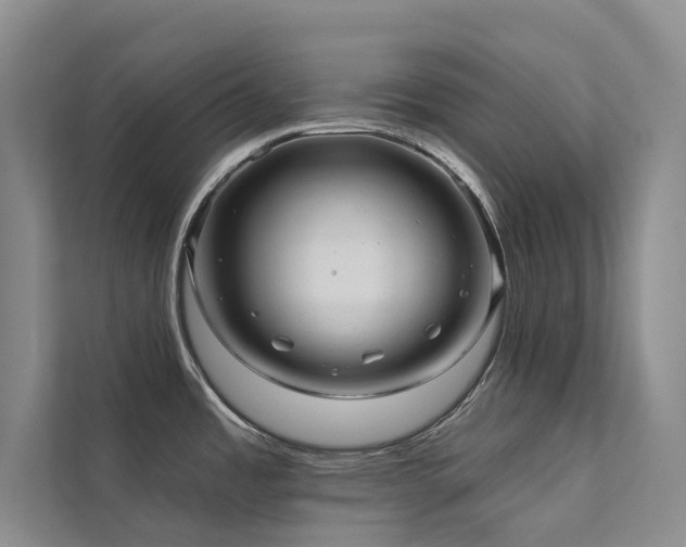 X0000111671485200907171603