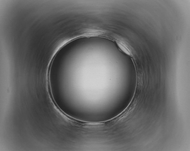 X0000111671487200907171603