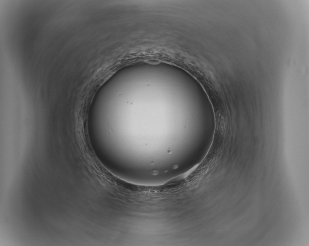 X0000111671489200907171603