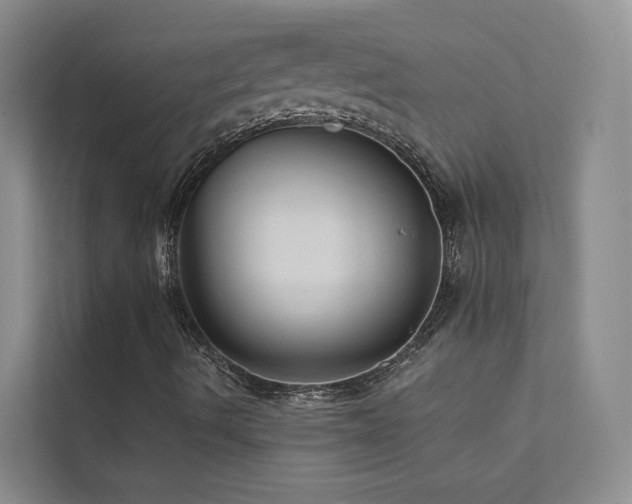 X0000111671490200907171603