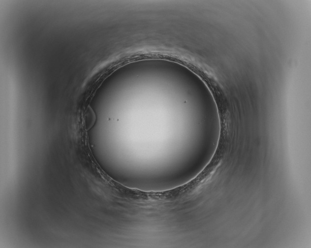 X0000111671494200907171603