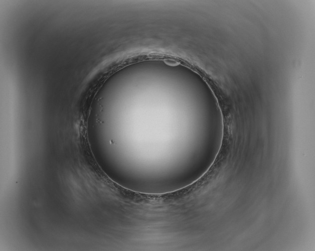 X0000111671495200907171603