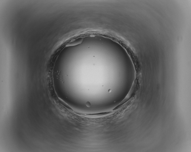 X0000111671496200907171603