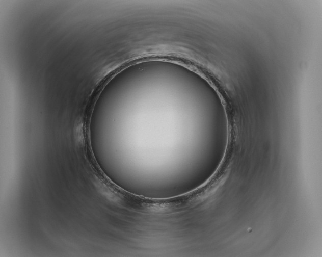 X0000111671497200907171603