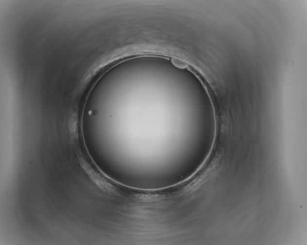 X0000111671499200907171603