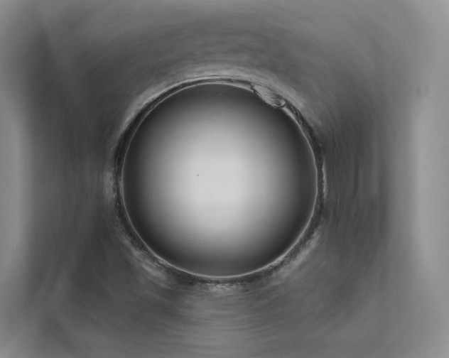 X0000111671501200907171603